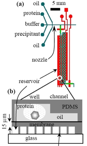 JACSmembrane